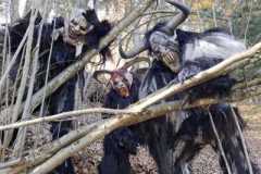 IMG-20251101-WA0006-Kopie