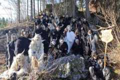 IMG-20251101-WA0012-Kopie