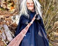 IMG-20251101-WA0056-Kopie