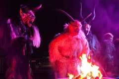 IMG-20241213-WA0005-1