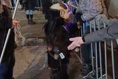 IMG-20250615-WA0045-1