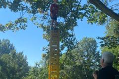 IMG-20250808-WA0006