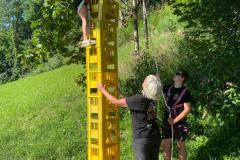IMG-20250808-WA0057