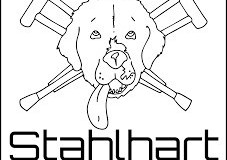 logo_stahlhart_medium